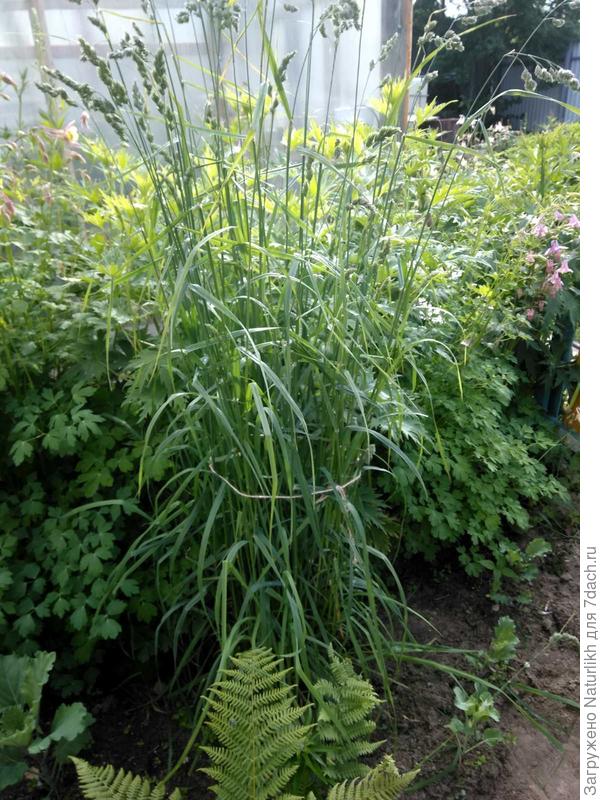 Фото сегодняшнего дня