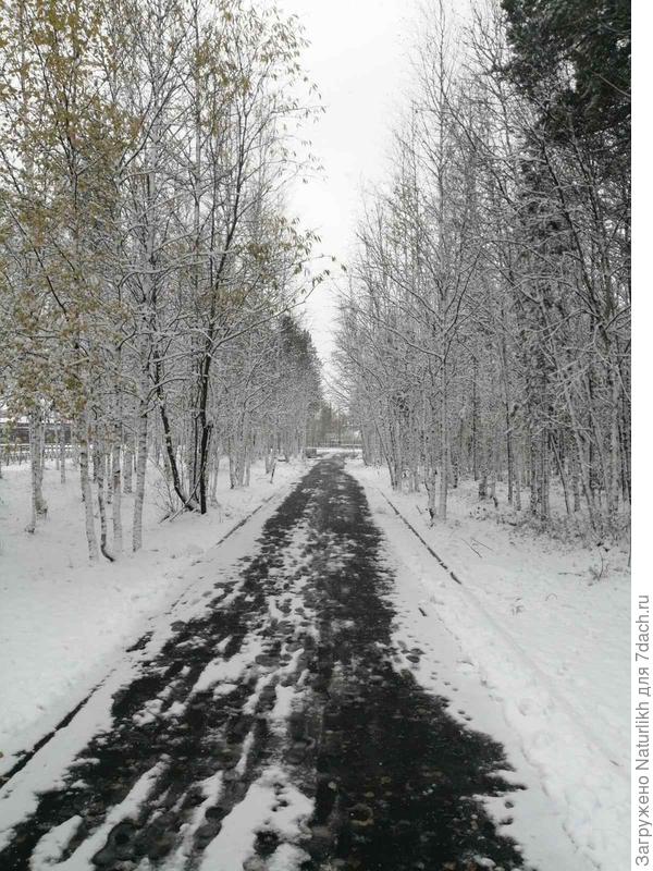 И нам октябрь снег принёс.