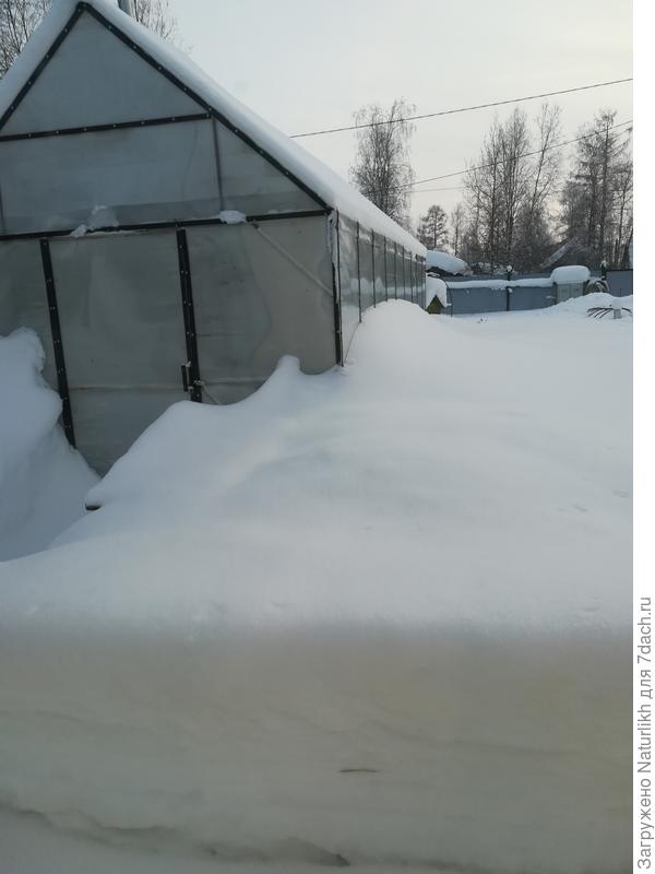 Светлана, у вас ещё не так печально.  Но мы не отчаеваемся,  ждём своей весны