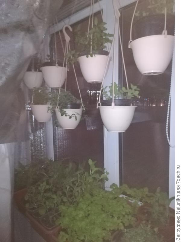 Подвесные кашпо и нарощенный подоконник