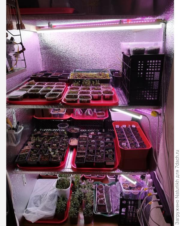 Это начало в кладовке