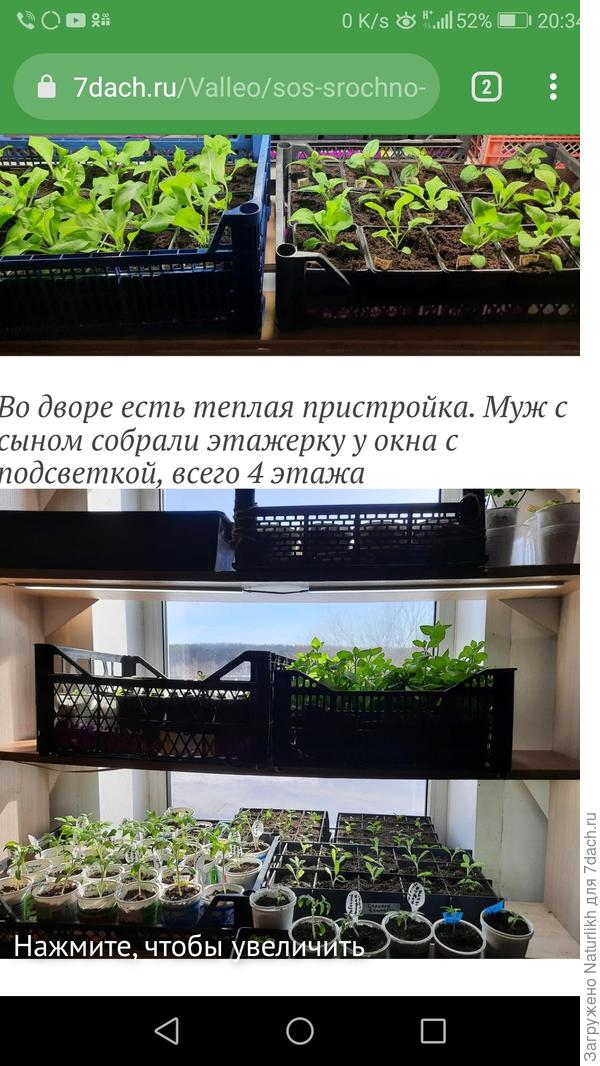 Оля, я почему то сразу подумала, что к окну вы приставили шакаф с полками без задней стенки.  Была у меня такая мысль использовать серые офисные шкафы на даче. Даже не снимая дверок. Там окна огромные, а подоконники совсем не глубокие.