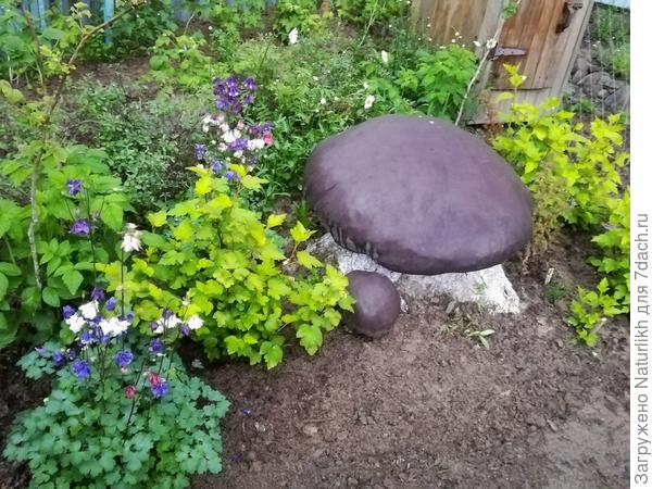 На следующий год