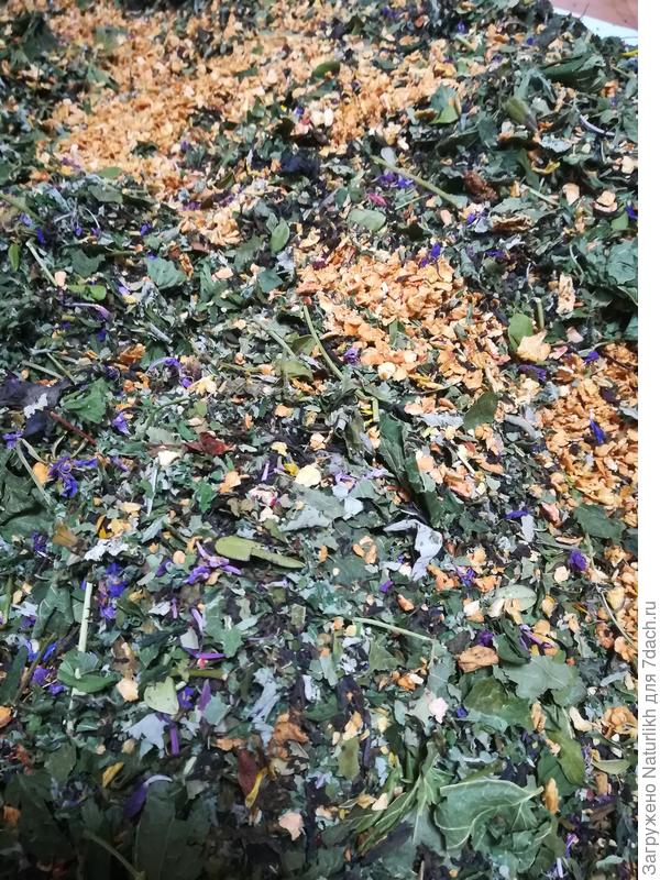 Иван чай с листом чёрной смородины