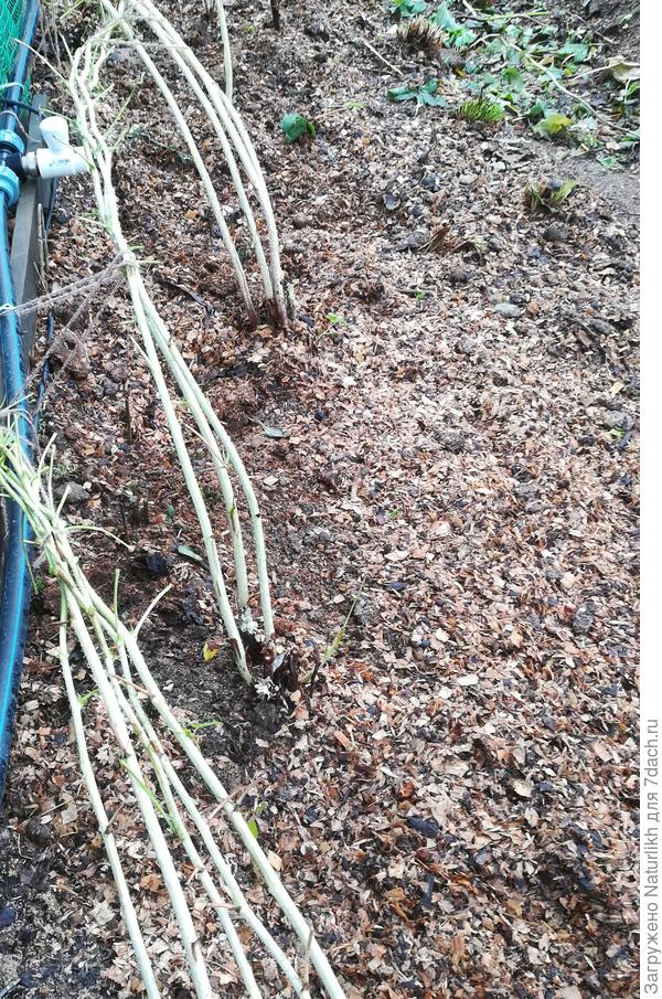 Готовимся к зиме.