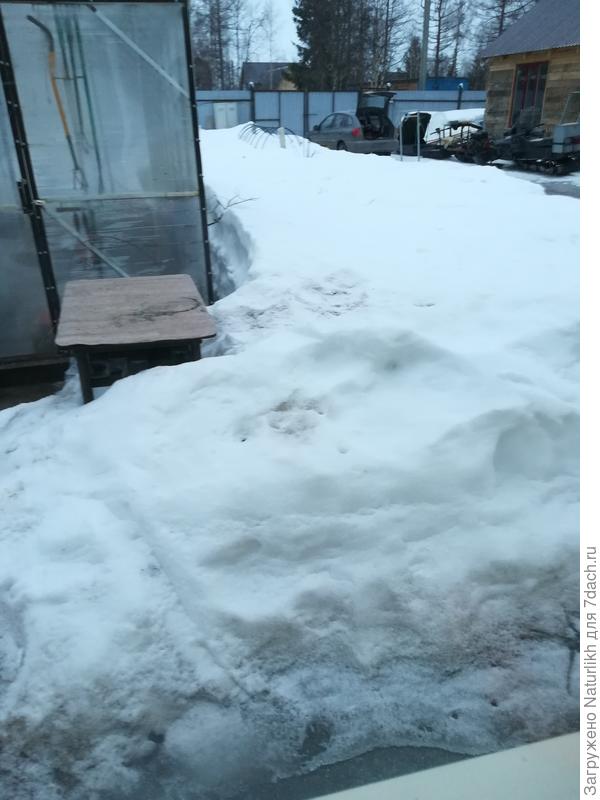 А время на размышления у нас ещё месяц.