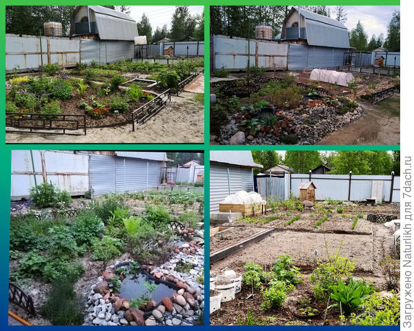 Фото разных лет