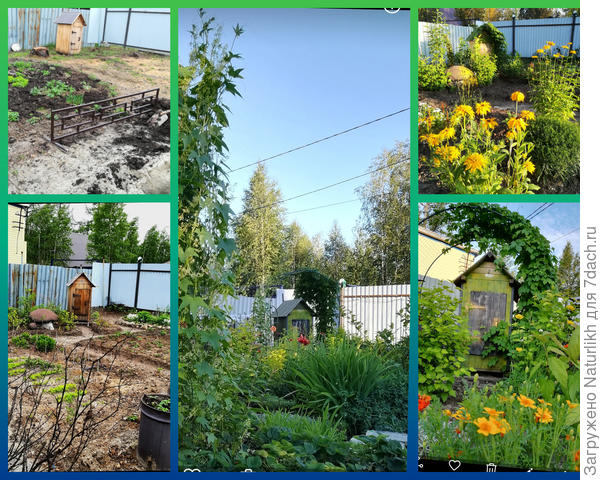 Маленький домик коптильня сто, да между лиственниц