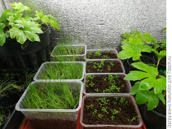 Косой 10.01.2023 состояние на 7ифевраля