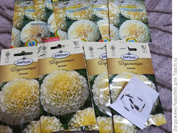 такое добро на вырос