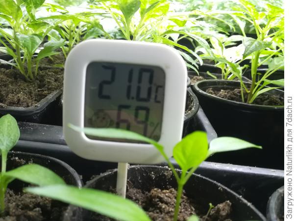 Стеллаж на высоте 2 метра. Батареи в квартире закрыты.