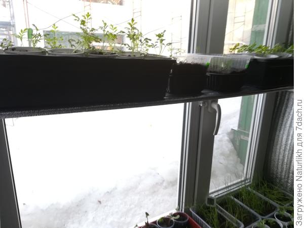 Вместо двух ящиков у окна теперь 7шт +4 контейнера.