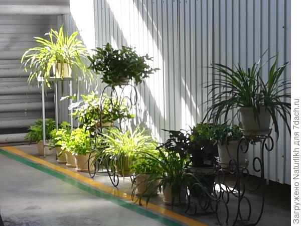 Сидит в прохладе на полу.