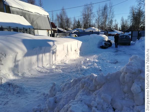 К примеру соседние постройки идут сплошняком до конца участка вдоль лилии границы. Высота, цвет и материал разный. Очень просится сплошной высокий забор, Снег с крыши сходит к нам на участок. Вот как и чем тут замаскируешь?
