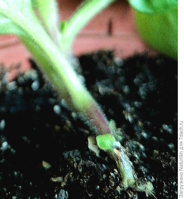 Без экспертов не обойтись.