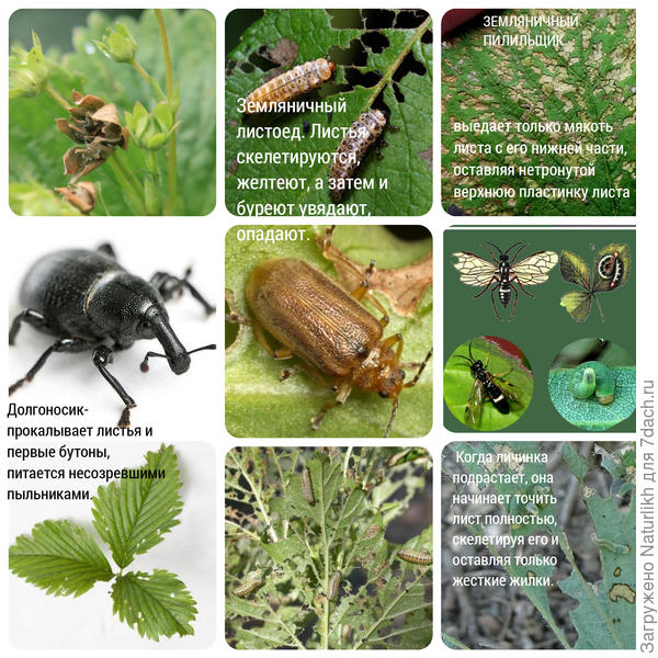 Немного информации из моих заметок