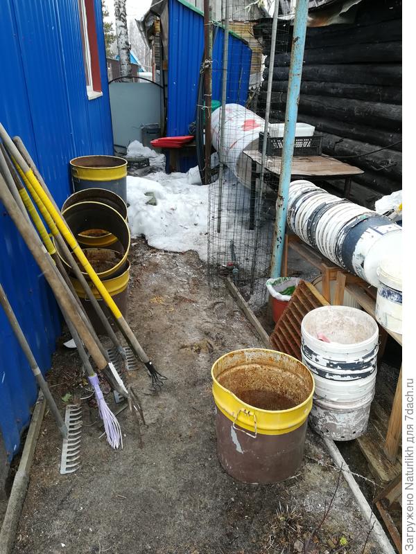 А эта утварь зимовала в теплице