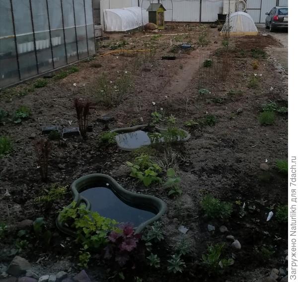 Вот фото начала нашего северного лета. Торчащая бирка своего рода ориентир.