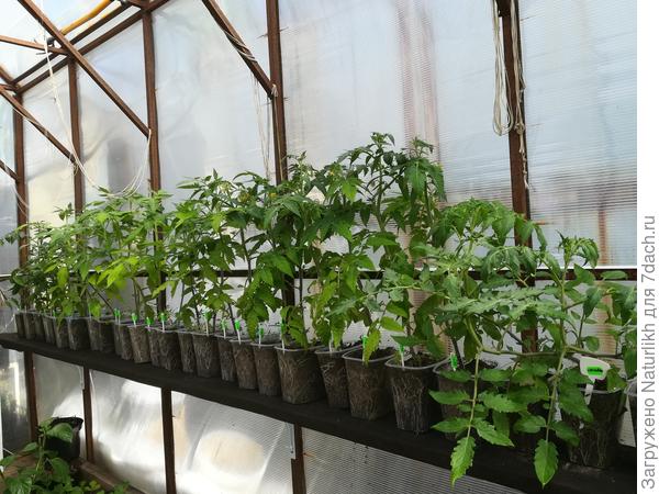 2 июня. Когда у всех уже на воле