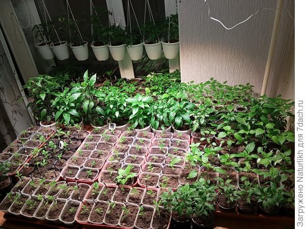 В зале хаос