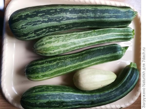 Но тоже перерастают быстро.