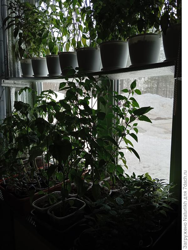 На 14 мая все ещё лежат сугробы