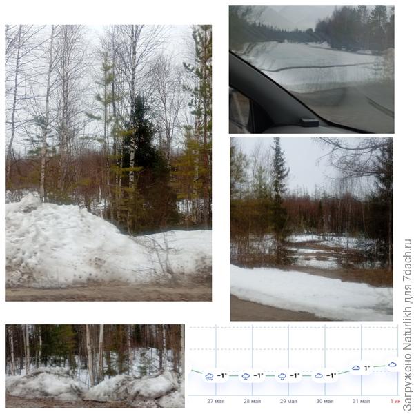 5 дней до лета!!!