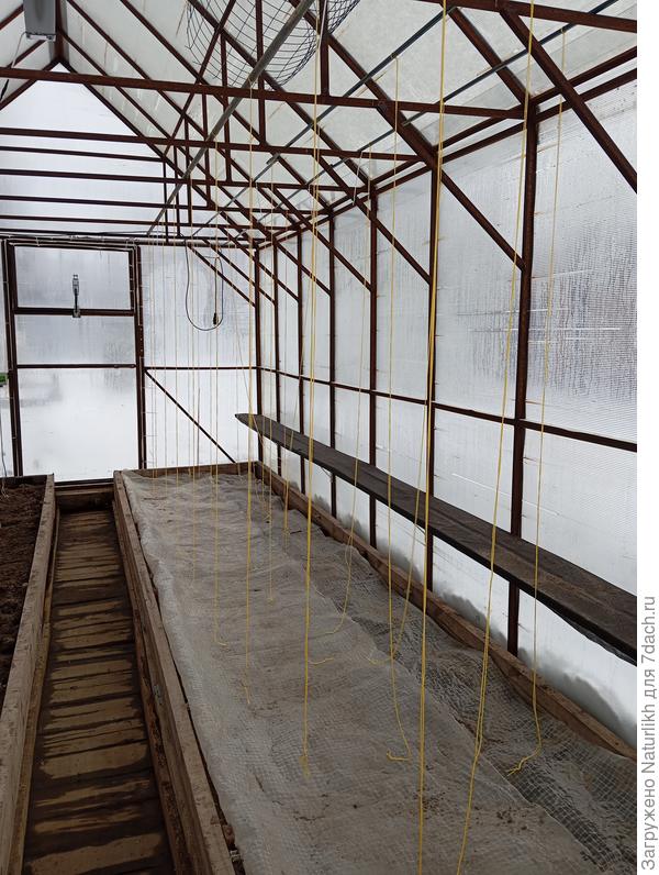 Томатная теплица пуста пока, грунт +4 градуса. Радует, что вода в прохолде не стоит