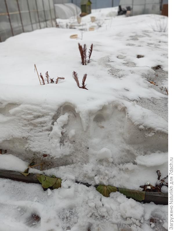 2 июня в ЯНАО