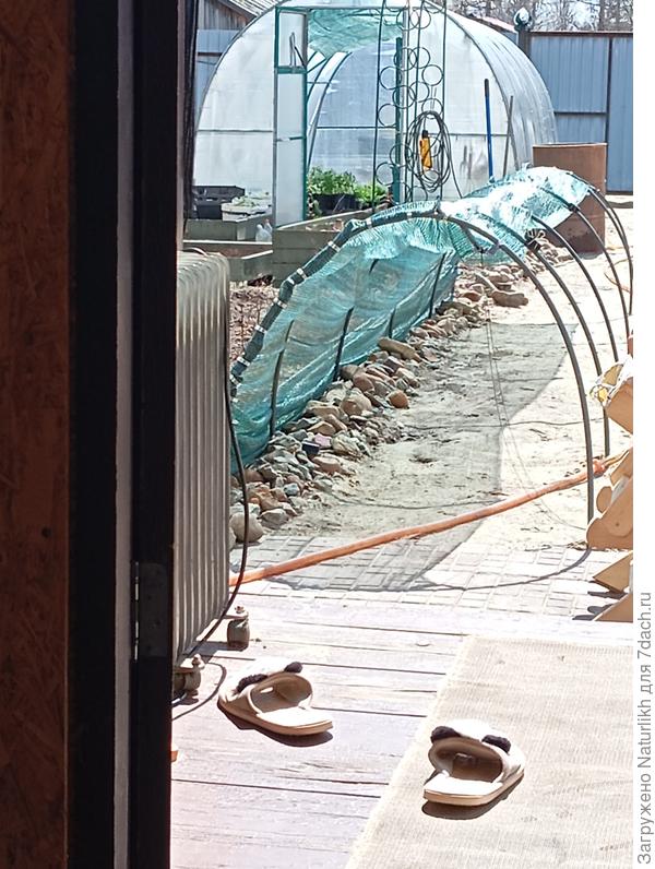 Сегодня вынесла цветы на улицу, соорудила  притенение