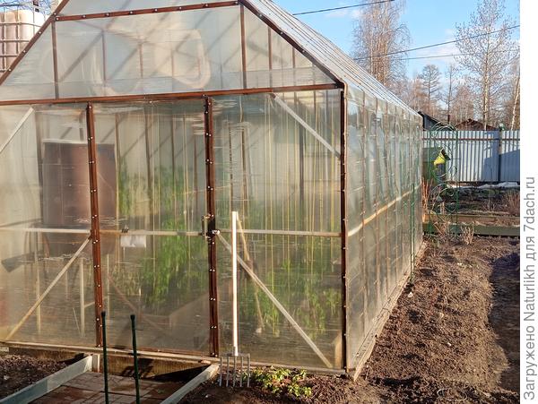 Сегодня вдоволь потрудилась, все подвязала