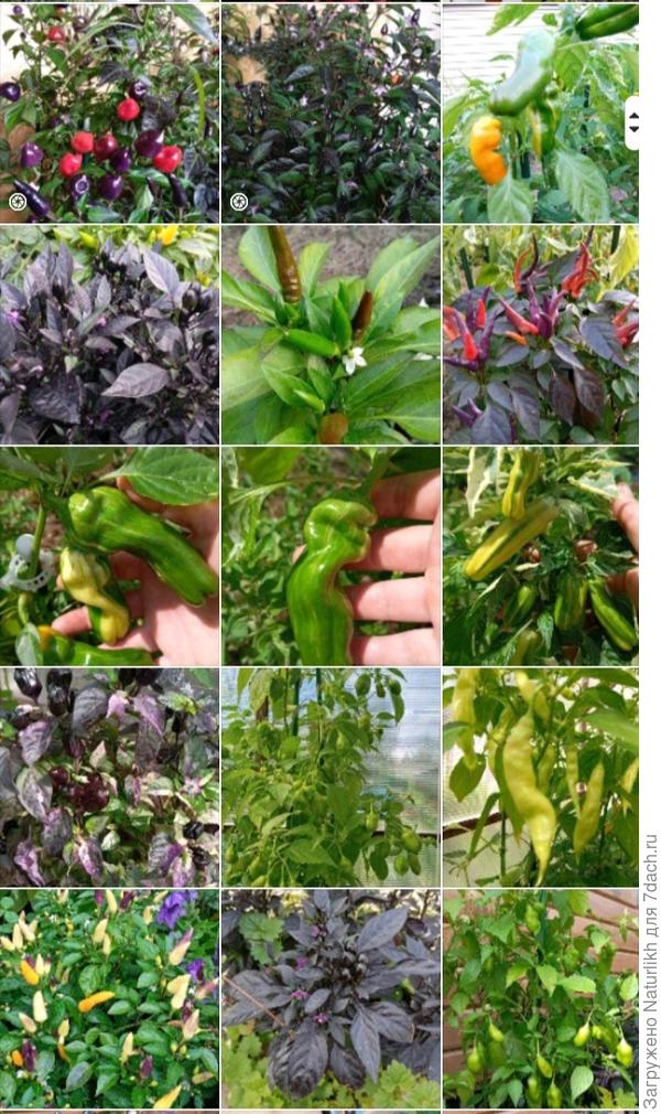 Это уже в августе