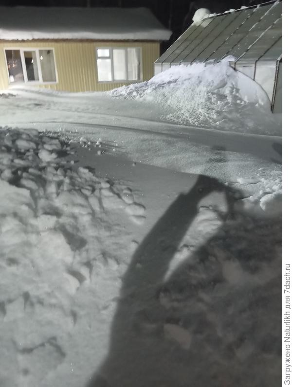 Высота стенок теплицы 2 метра