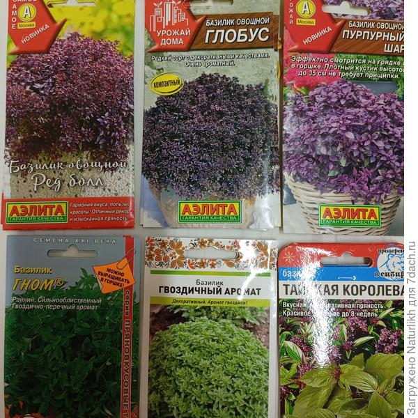 Верхний ряд.