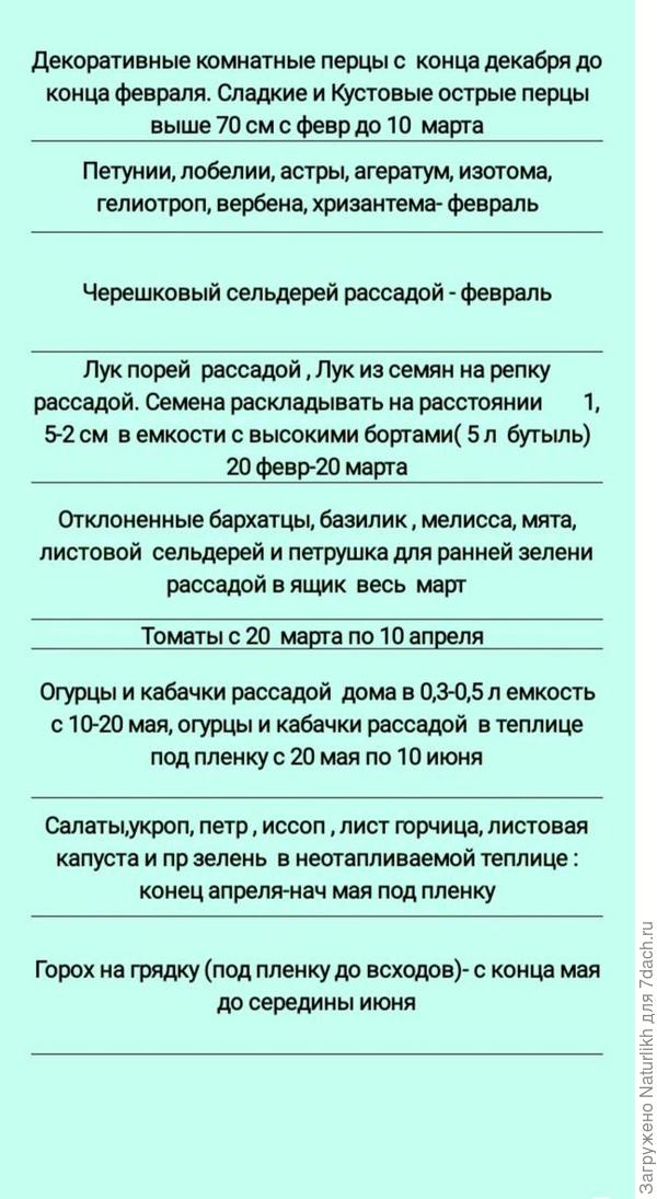 Моя напоминалка.
