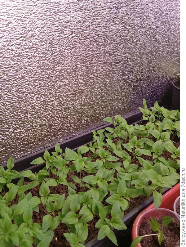 Жалко выбрасывать, надо-то всего 6штук