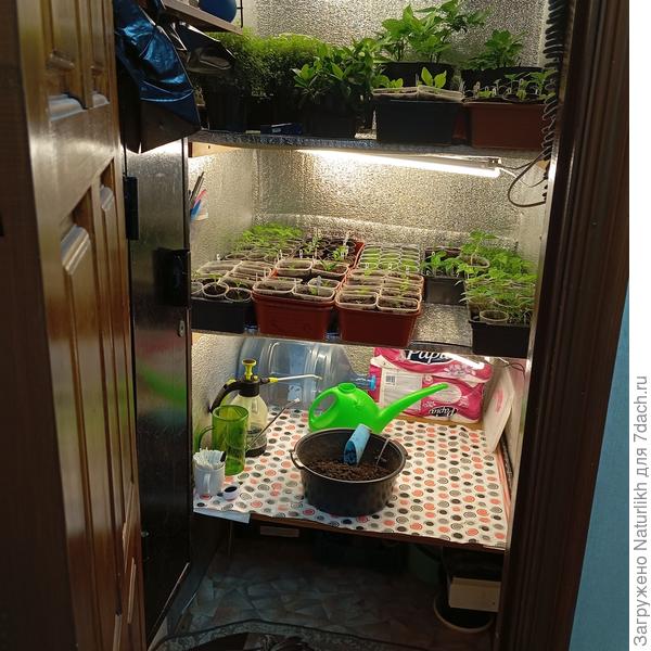 Ковыряюсь в кладовке .Грунт и рассадная тара на полу, под стеллажом.