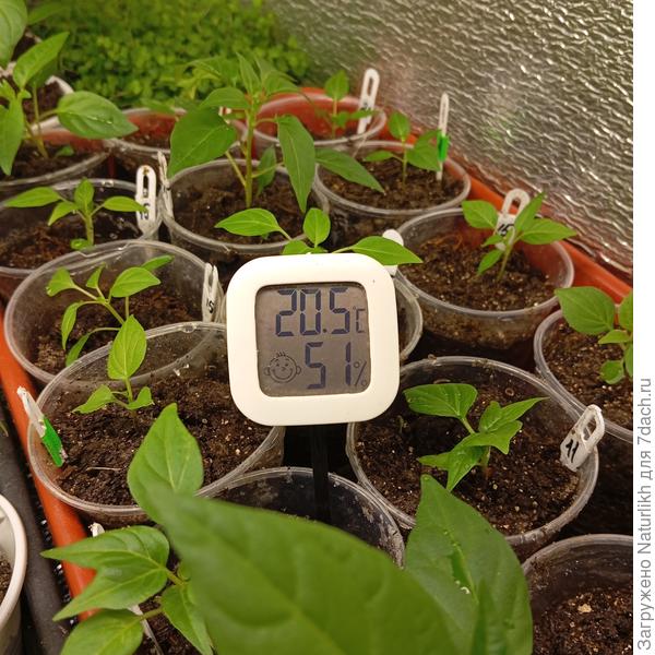 В кладовке потеплее и влажность хорошая .