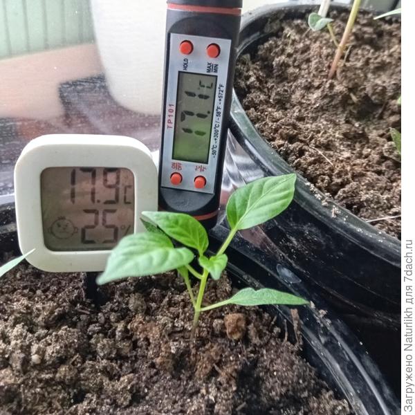 На подоконнике