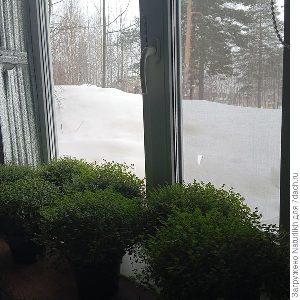 16.02 То ли я на снег гляжу, то ли он на меня