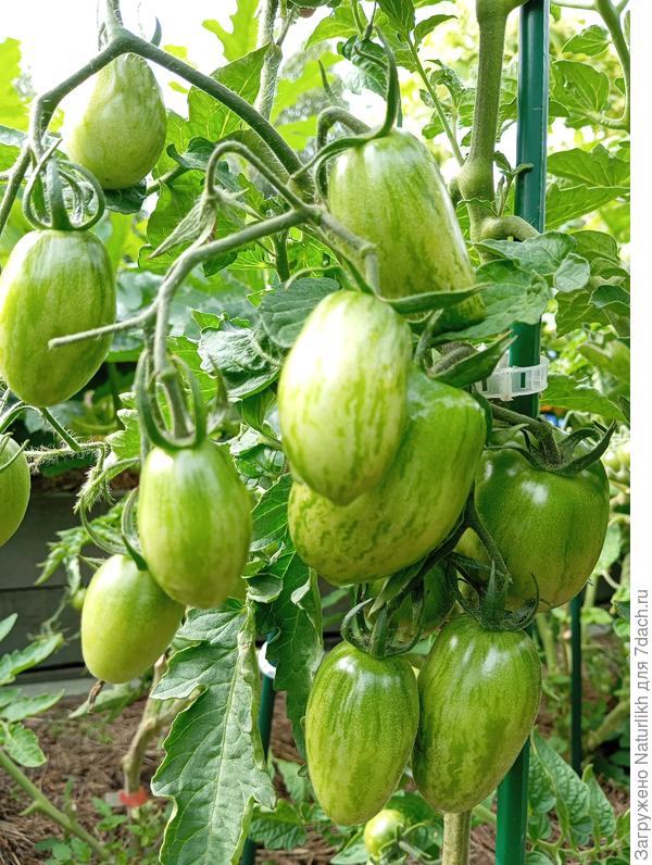 И гному на улице понравилось.