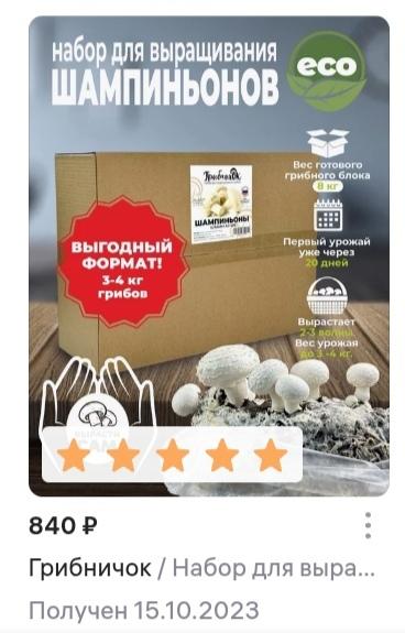 Цена сейчас  дороже