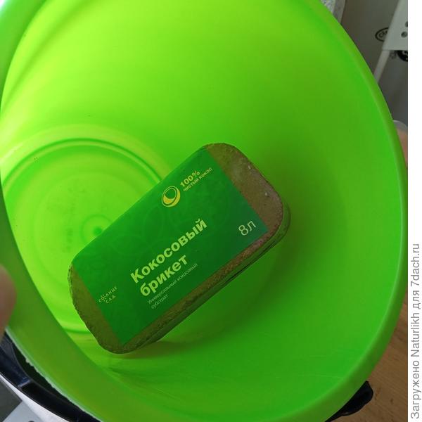 Я черенкую в кокосовом субстрате.