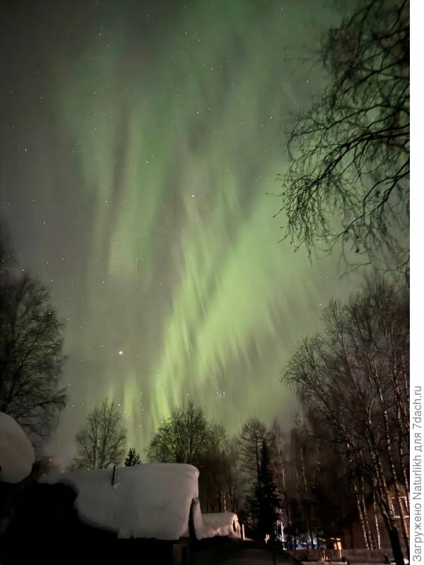 Фото нашего дачника