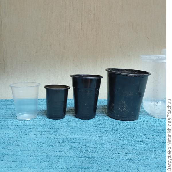 100мл, 200мл,500мл и литровый пищевой контейнер Прозрачный 100мл стаканчик немного шире, черного.