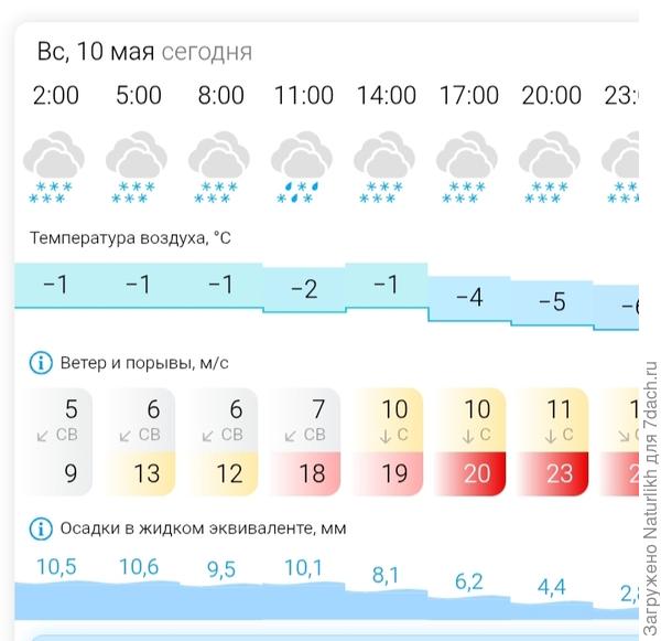прогноз не утешает