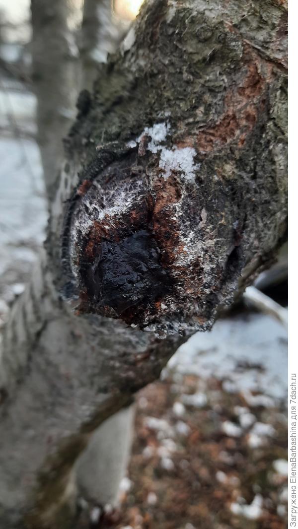 И здесь срез