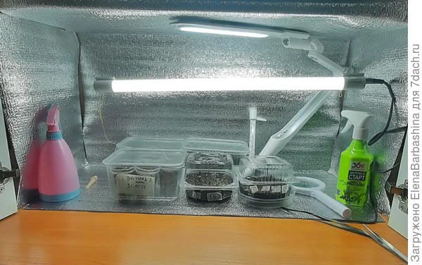 а это мой парник