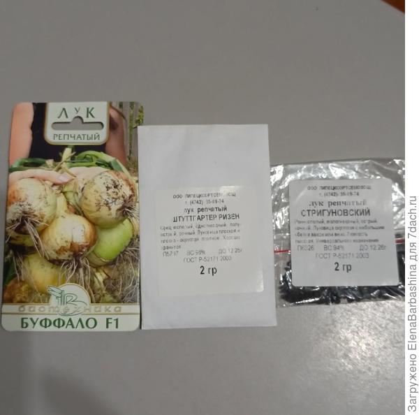 Семена лука на рассаду в 2025 году