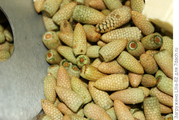 Цитата и фото с сайта: haritonoff.livejournal